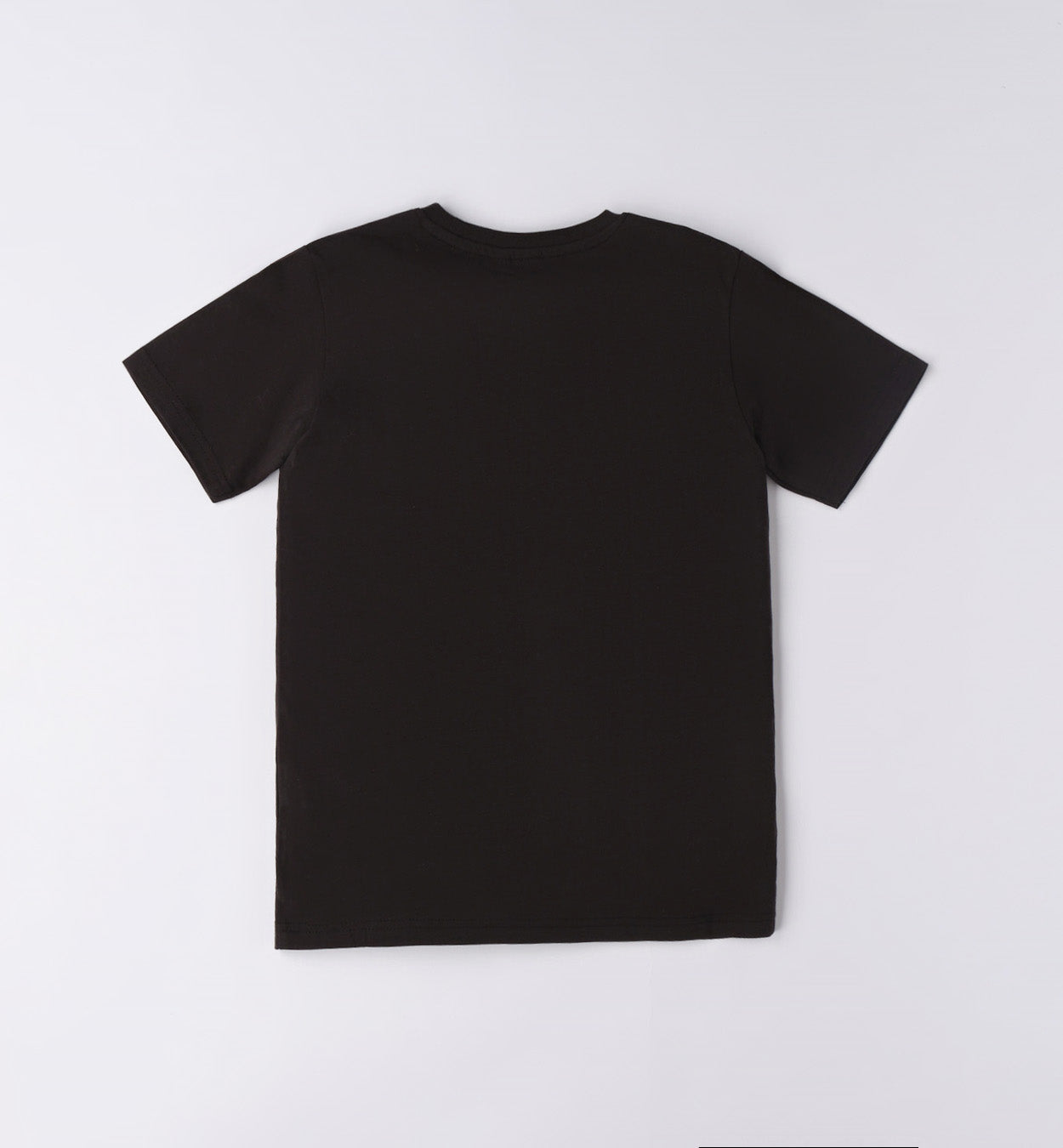 Basic - T-shirt
