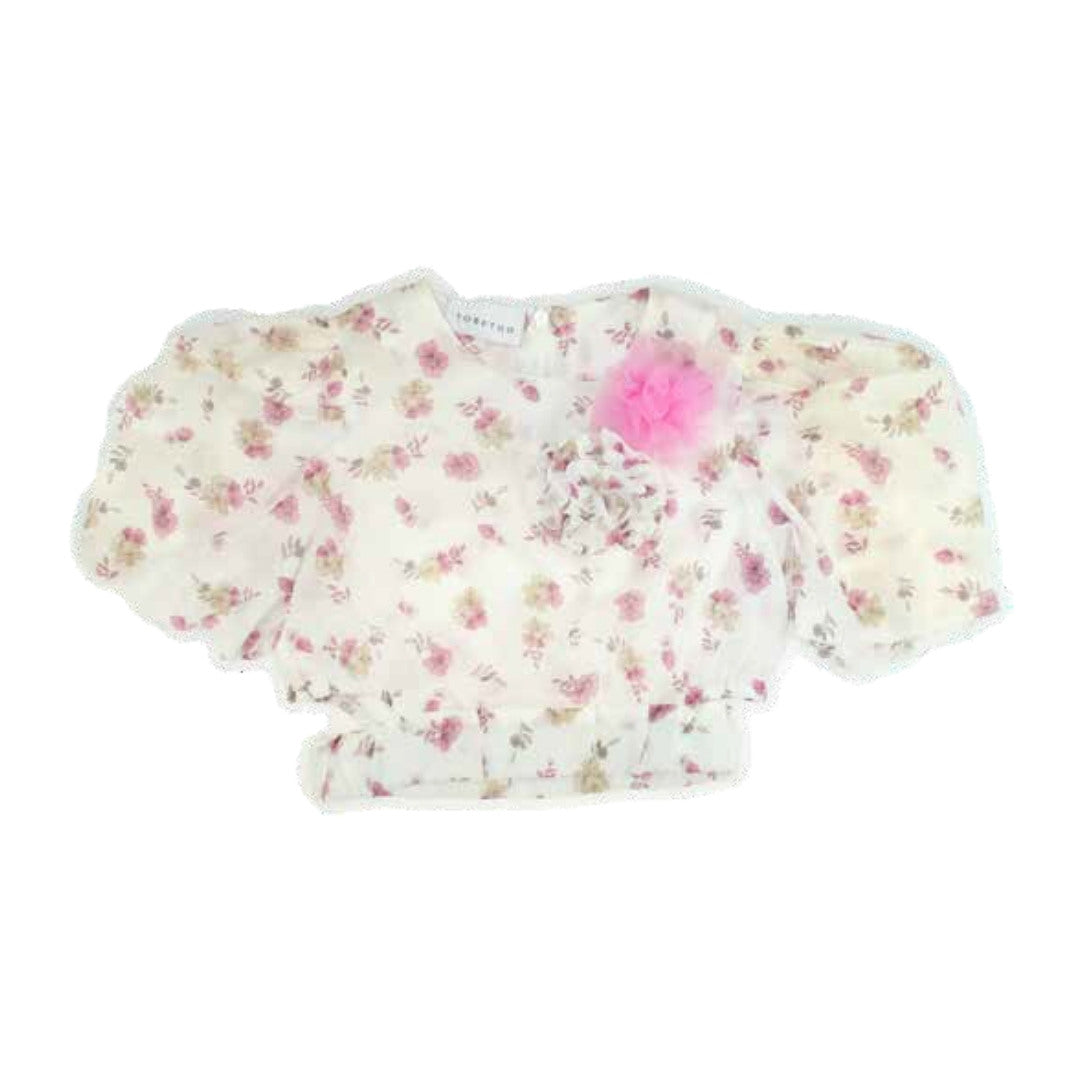 Top 331 - Wonderland