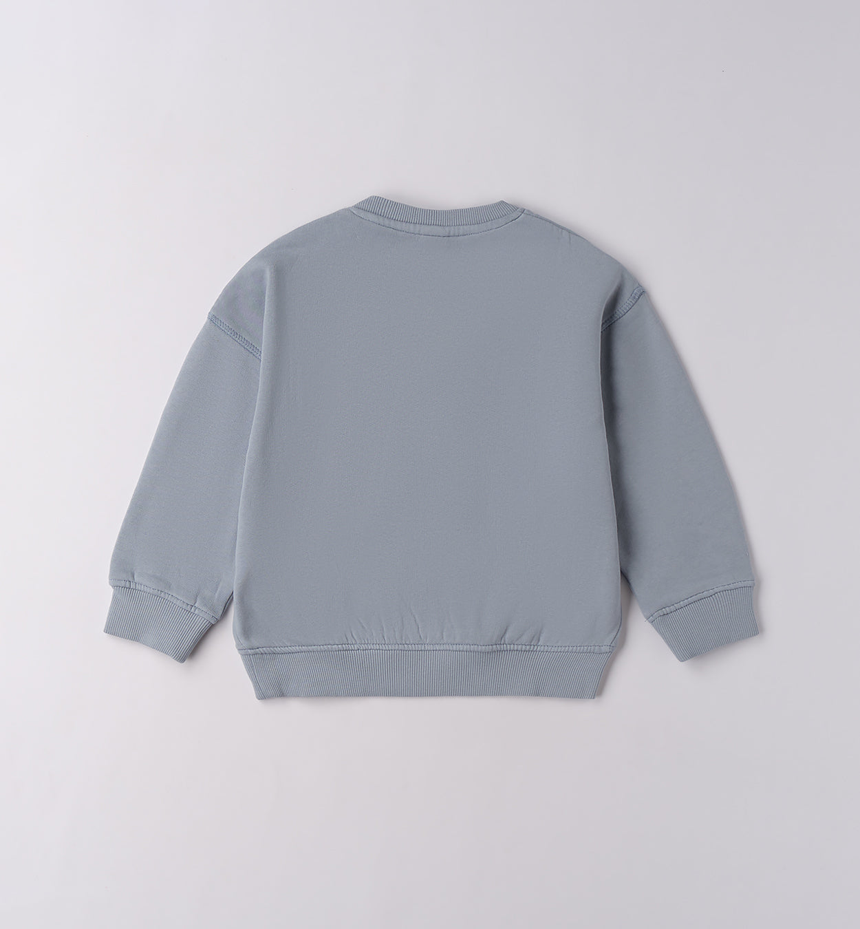 ARTIC NEUTRAL - Felpa