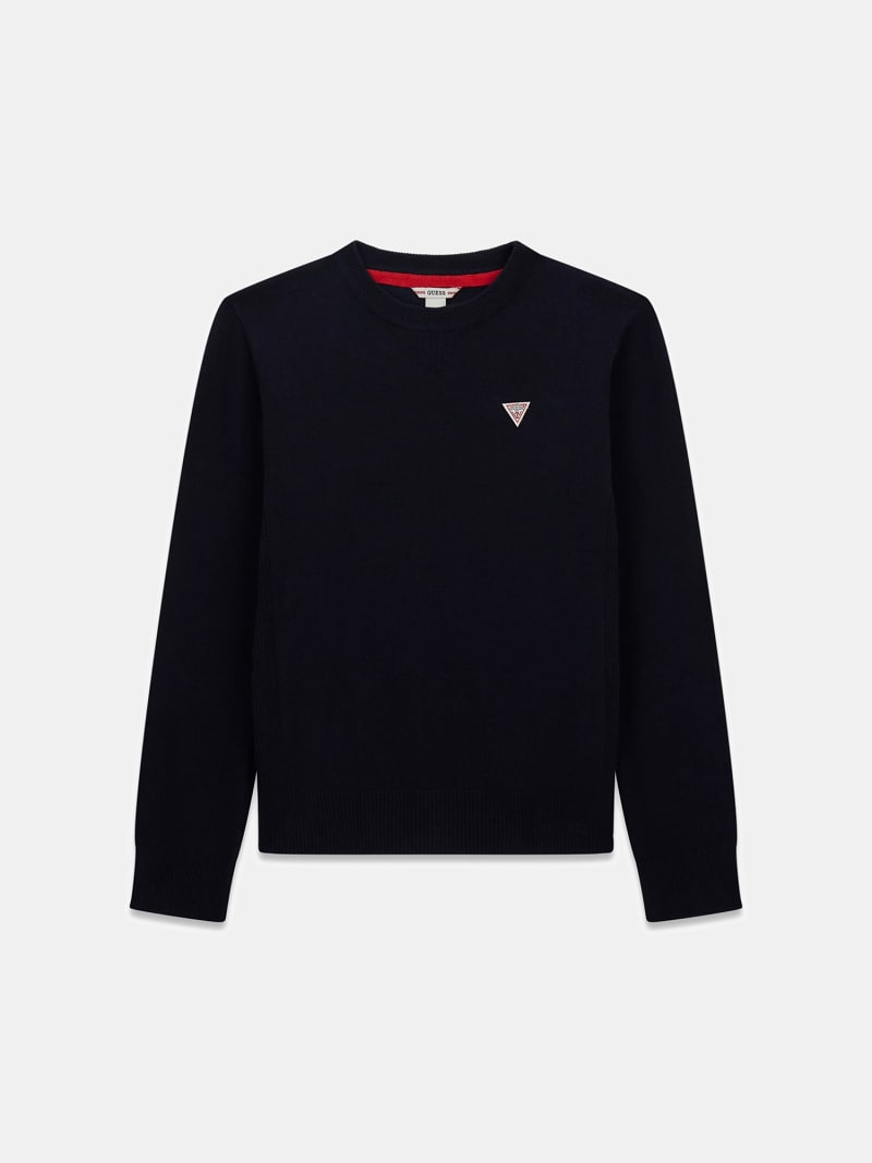 Maglione Etichetta Logo