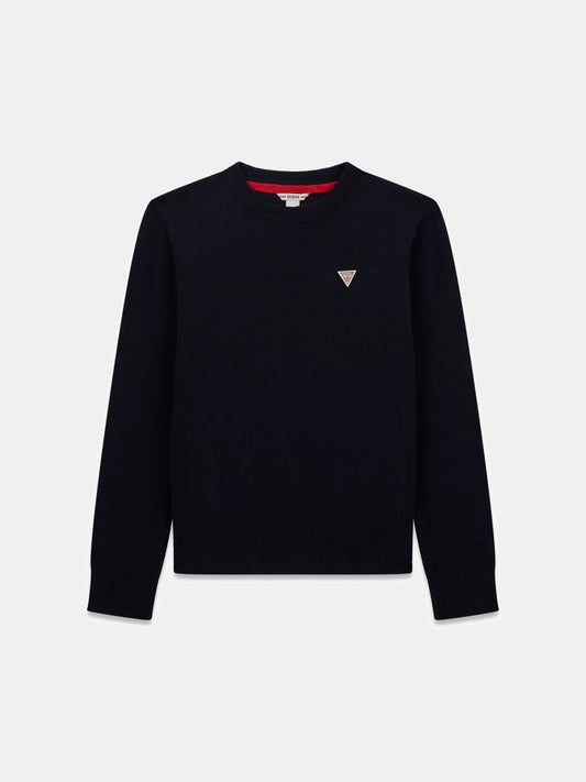 Maglione Etichetta Logo