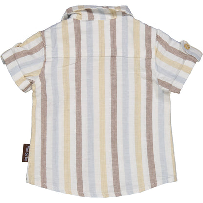 Little Puppies - Camicia